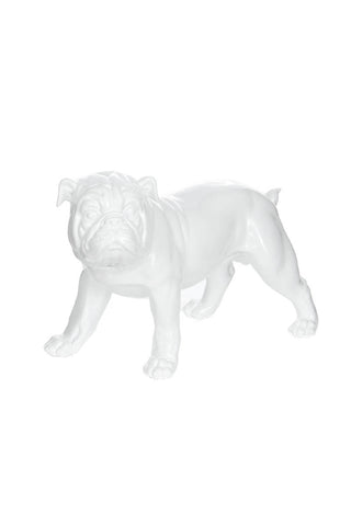 Dekofigur Bulldogge Skulptur BulldogArt 48-J Weiß Draufsicht