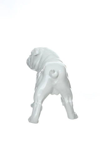 Dekofigur Bulldogge Skulptur BulldogArt 48-J Weiß Draufsicht