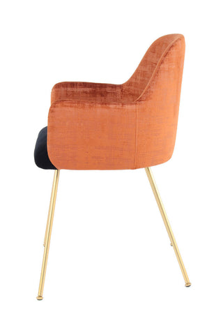 Design-Stuhl Stuhl Roger 537 Terra / Braun / Schwarz Draufsicht