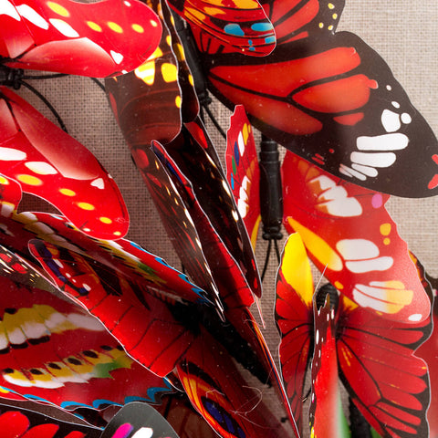 Kunstwerk Papier Wandbild Butterflies 80cm x 80cm Makro